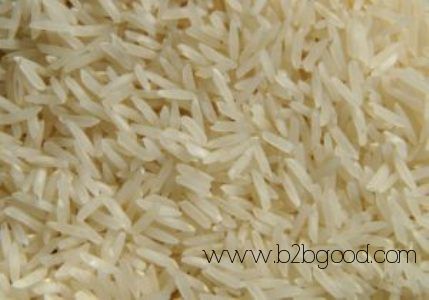 Rice IRRI-6