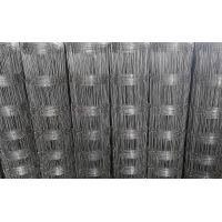 Welded Wire Mesh Fencing System