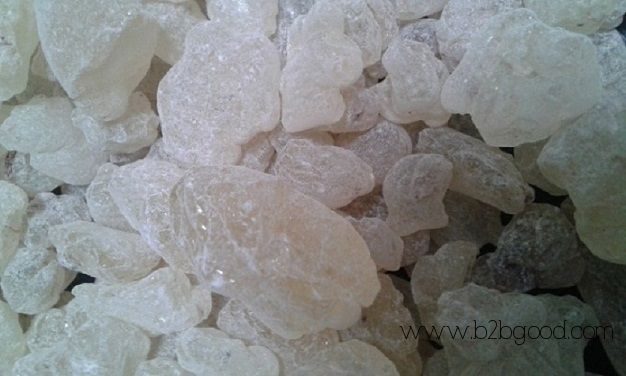 Gum Damar