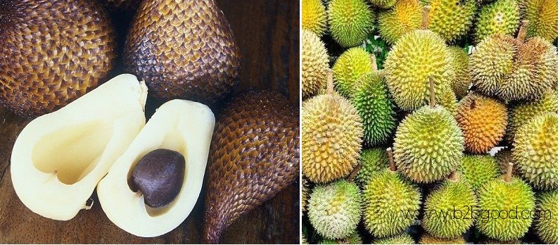 Snake Fruit