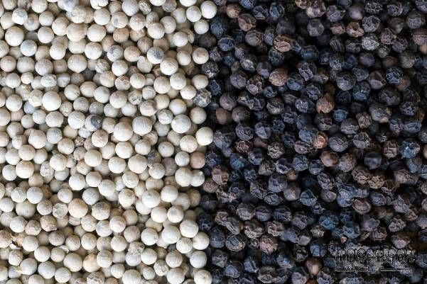 Pepper