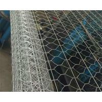 Stainless Steel Hexagonal Wire Netting