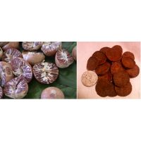 Areca Nut