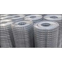 Welded Wire Mesh