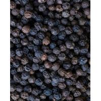 Pepper