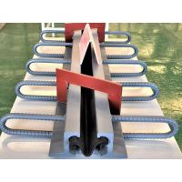 Bridge Strip Seal Expansion Joints