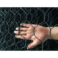 Hexagonal Wire Mesh